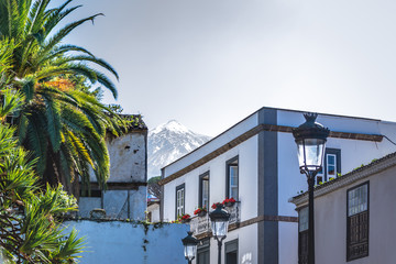 Fototapeta premium Beautiful old city with rare dragon tree and view on volcano Teide with snow on the top. Green town on Tenerife island. Dracaena tree in landscape on Canary islands. Popular landmarks for vacation.