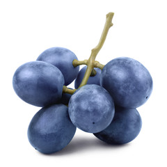 Close-up of ripe blue grapes, isolated on white background