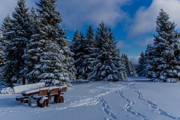 Erste kleine Winterwanderung entlang des Rennsteigs durch den Thüringer Wald -...