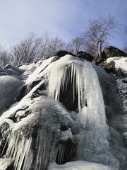 waterfall in forest