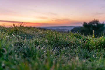 la rossé matinale au lever du soleil