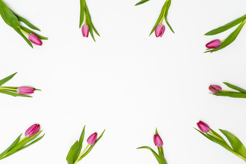 Flowers composition. Tulip flowers on white background. Spring, easter concept. Flat lay, top view, copy space