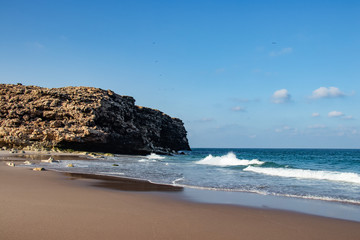 Fototapeta na wymiar Beach Ras al jinz between rocks in Oman