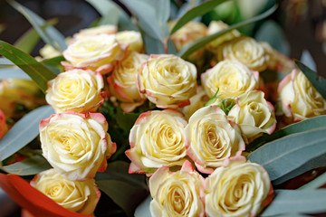 bouquet of white roses
