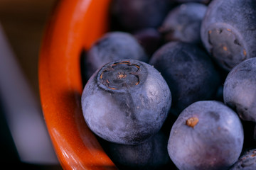 freshly harvested blueberries macro