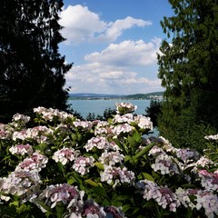 Ausblick &uuml;ber den See