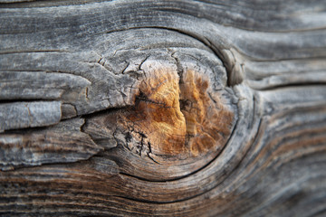 close up of a wooden texture