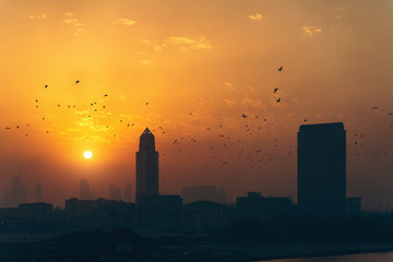 Dubai panorama in sunset dusk in evening, silhouettes of city buildings, UAE.