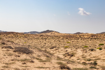 Hills along the coast of Wahiba sands in Oman
