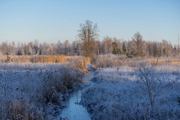 Beautiful green nature landscape of Europe