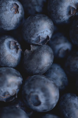 close up of Blueberry fruit