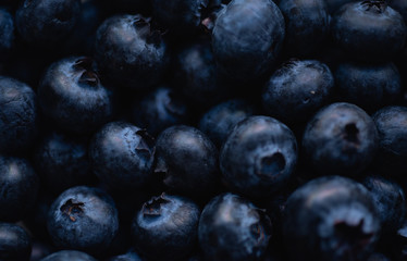 close up of Blueberry fruit