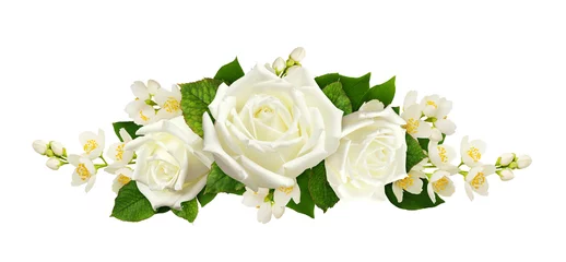 Deurstickers Twigs of Jasmine flowers and roses in a line arrangement © Ortis