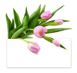 Pink tulip flowers ahd a white card