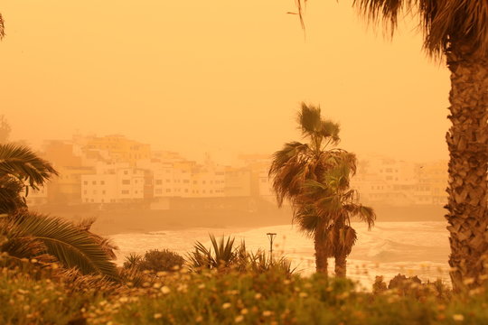 Palm trees and buildings on the beach of canarian island. Calima sand wind with dust from Africa. Calima sandstorm on Canary Islands. Tenerife, Puerto de la Cruz, Playa Jardin.