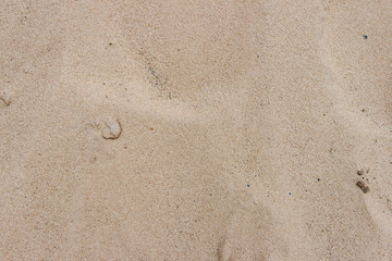 Fototapeta na wymiar Sand texture. Horizontal image of coastline