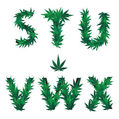 Cannabis alphabet, eco abc on white background. Part 4