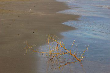 Playa del Grao, Castellón, España