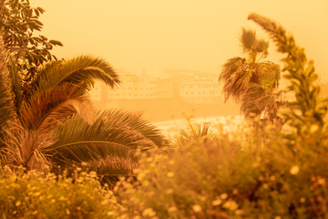 Palm trees and buildings on the beach of canarian island. Calima sand wind with dust from Africa....