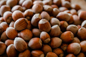 Stack of hazelnuts