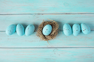 easter eggs on wooden background