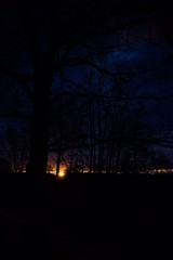 Naklejka premium Lüneburger Heide bei Sonnenaufgang 