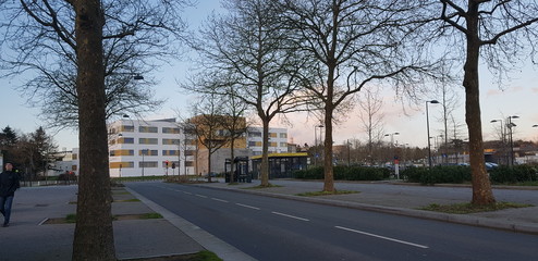 Fototapeta premium Winter in Rennes, France