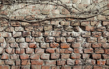 muro di mattoni - vintage