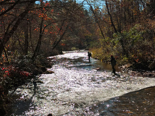 Obraz premium Fishing In A Creek