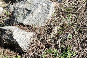 The texture of the stone. Background. Close-up.
