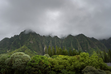 Fototapeta na wymiar Amazing Hawaii Oahu Hawaii