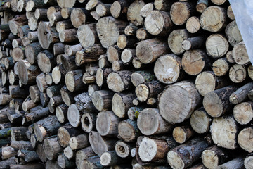 Firewood. Round logs folded for storage.