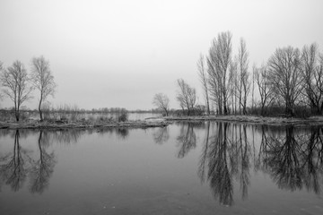 black and white photographs of trees by the river in early spring