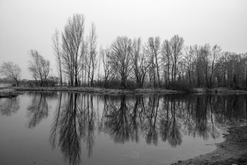 black and white photographs of trees by the river in early spring