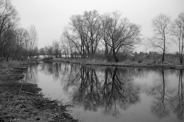 black and white photographs of trees by the river in early spring