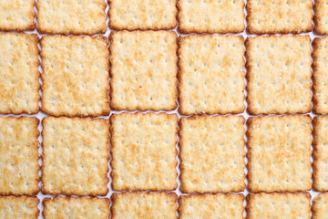 Toasted appetizing rectangular biscuits laying in rows close up