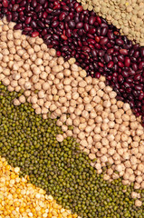 Multicolor dired legumes for background, Different dry