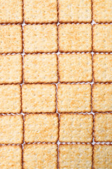 baked fresh square crackers in a row close up