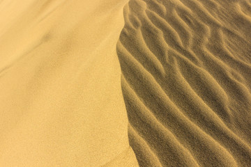Fototapeta premium Dunes of Maspalomas in Gran Canari (Canary Islands)