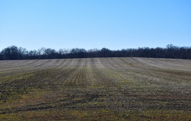 Farm Field