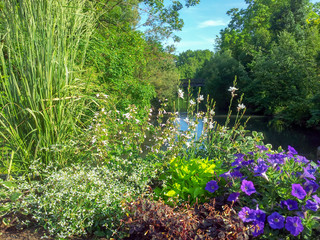 flowers and green trees against blue sky in M&ouml;ckm&uuml;hl, Germany