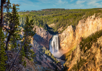 Lower Falls of the Yellowstone from Artist Point, vertical