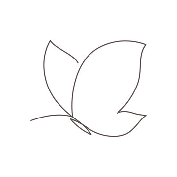 Butterfly continuous line vector illustration. Butter fly made with single editable path.