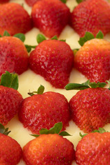 Strawberry tart with fresh red strawberries and a cream custard. A close up macro photography shot.