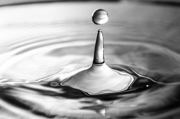 gota