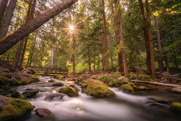 A Bridge on the Hike to Tamanawas Waterfall in the Mount Hood National Forest in the Pacific Northwest