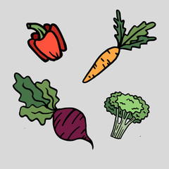 Beetroot, carrot, broccoli and pepper on grey background. Great collection of the clip art vegetables