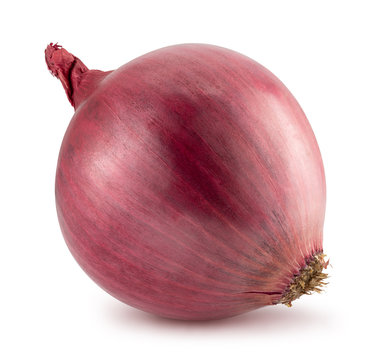 purple onion isolated on a white background