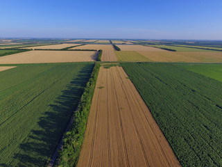 Flat agricultural fields go beyond the horizon, view from above, Krasnodar region, Russia