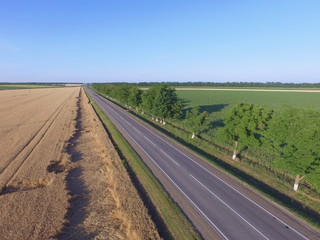 Naklejka premium Road through agricultural fields goes beyond the horizon, Krasnodar region, Russia